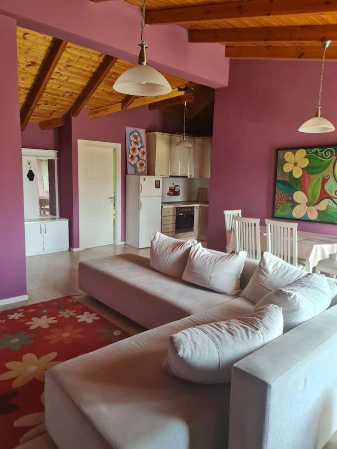 Penthahouse Shallvare Tirana Exterior photo